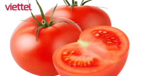Sim Nghe Gọi Mãi Mãi Tomato Viettel